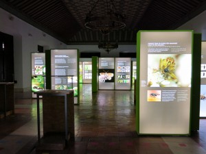 Aspeto geral da exposição Insetos em ordem, no Palácio de D. Manuel, em Évora