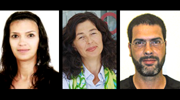 Sustainability reporting and assurance in Portugal