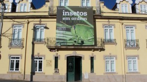 Fachada Palácio Correio Velho, em Castelo Branco