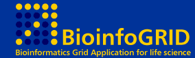 Logotipo do Projecto BioinfoGrid