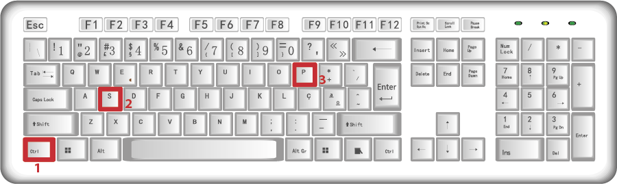 Figura 11 - Teclado com destaque das teclas de combinação: Ctrl+S e Ctrl+P.