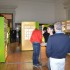 Exposição Insetos em Ordem no Museu da Ciência da Universidade de Coimbra