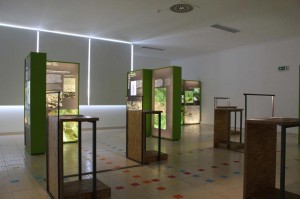 Aspeto da Exposição no Museu do Quartzo