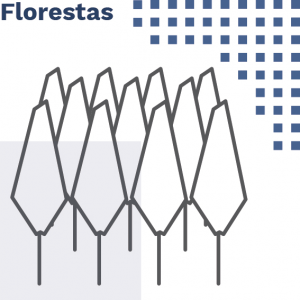 Florestas