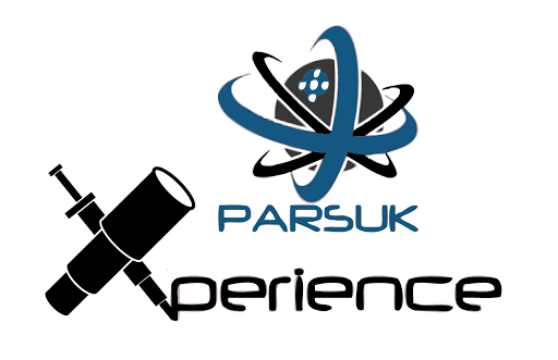 parsuk_experience