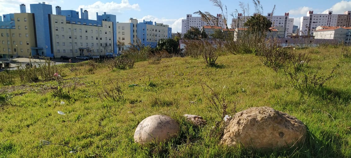 Moradores de Marvila querem zonas verdes nos descampados do bairro em vez de prédios de renda acessível