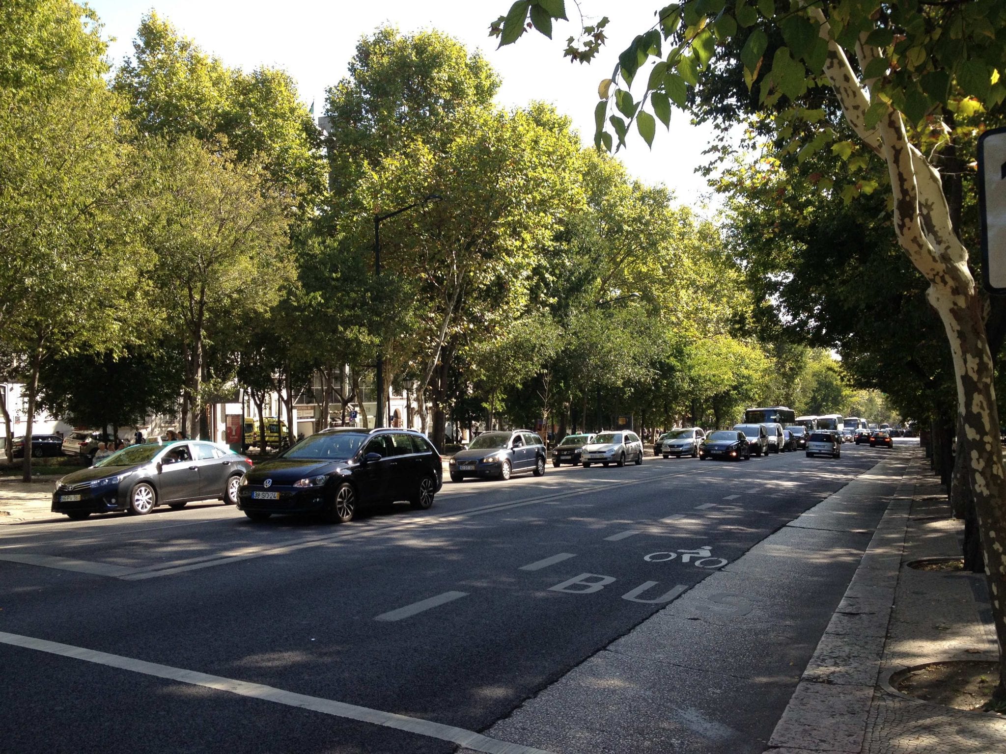 Avenida da Liberdade e Baixa deverão ser encerradas ao trânsito automóvel, pede Assembleia Municipal de Lisboa