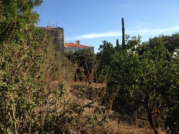 Jardim do Caracol da Penha é o grande vencedor do Orçamento Participativo 2016