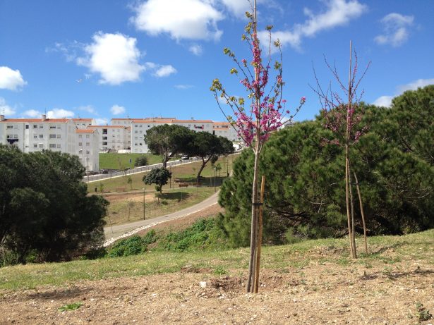 Nasceu um novo parque verde entre o Palácio Nacional da Ajuda e Monsanto