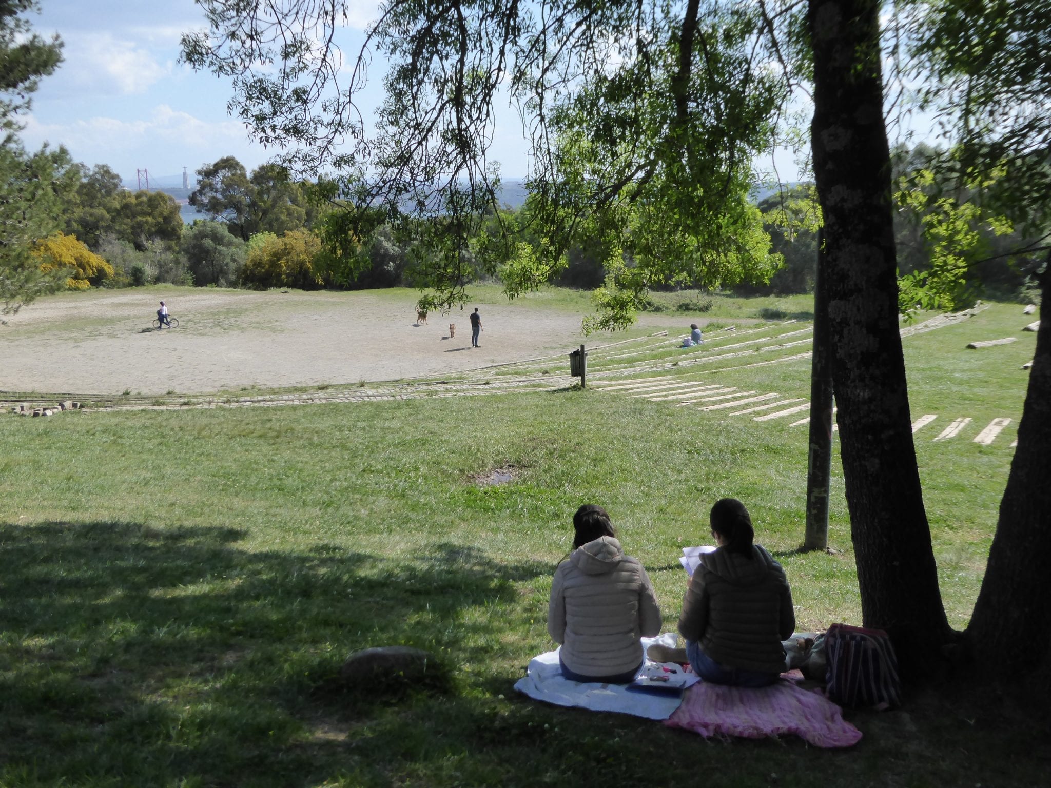 Viver a chegada da Primavera em Monsanto