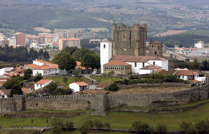 domus_1_102389842154e1de01aca50