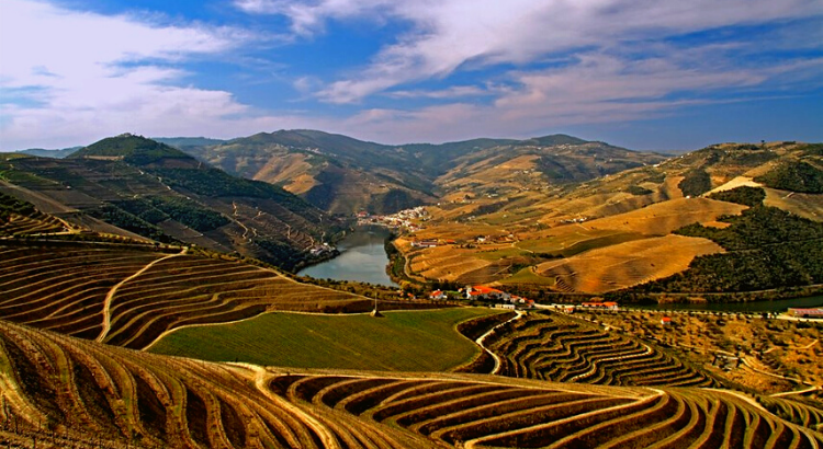 Douro Vinhateiro