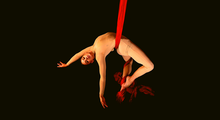 Oportunidades financiamento